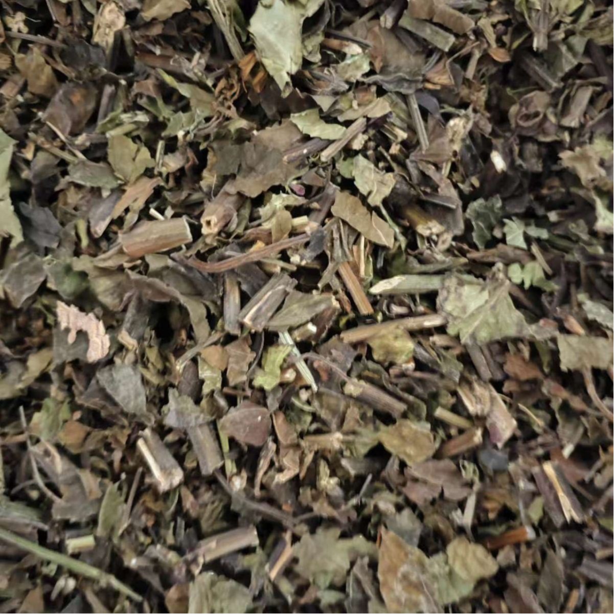Zhong Jie Feng (Sarcandra glabra) — Dried Herbal Pieces & Custom Powder, 500g - Image 5