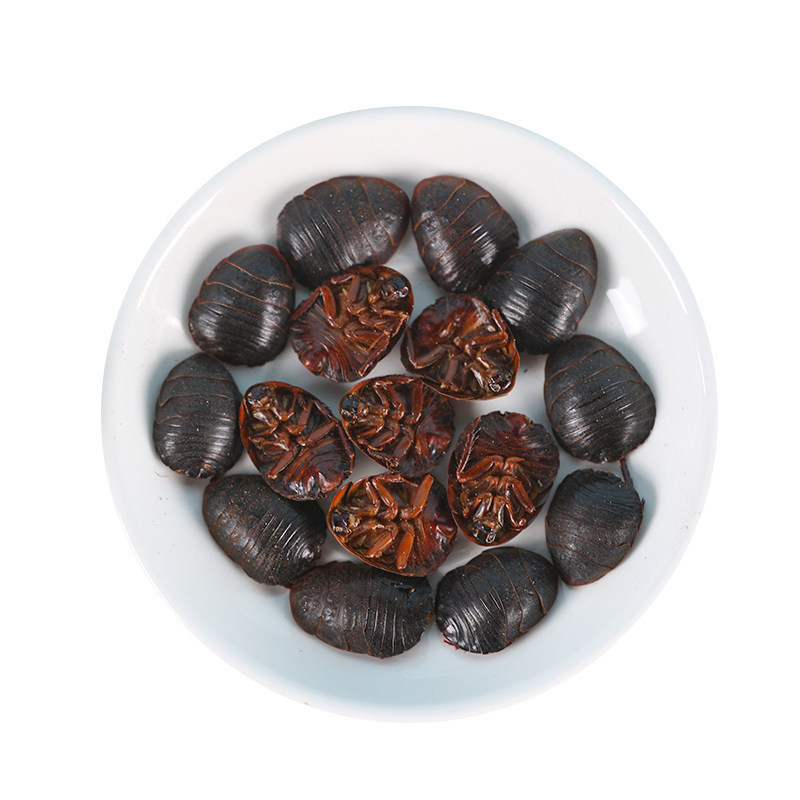 Wild Ground Beetle Tu Bie Chong Dried Whole Insect 500g Traditional Chinese Herb for Decoction and Grinding - Image 5