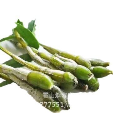 Huoshan Dendrobium Fresh Stems Mi Hu 霍山米斛 Ready-to-Eat 500g - Image 3