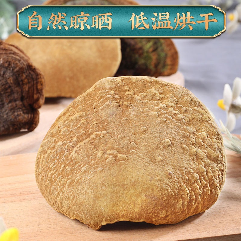 Sang Huang Mulberry Yellow Phellinus Mushroom with Ling Zhi Slices Herbal Tea Set 125g Plus 40g Jars - Image 2