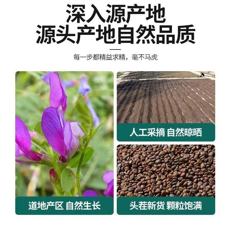 Dried Cuscuta Seeds Tu Si Zi 500g Chinese Herbal Tea for Infusion Wine and Daily Wellness - Image 3