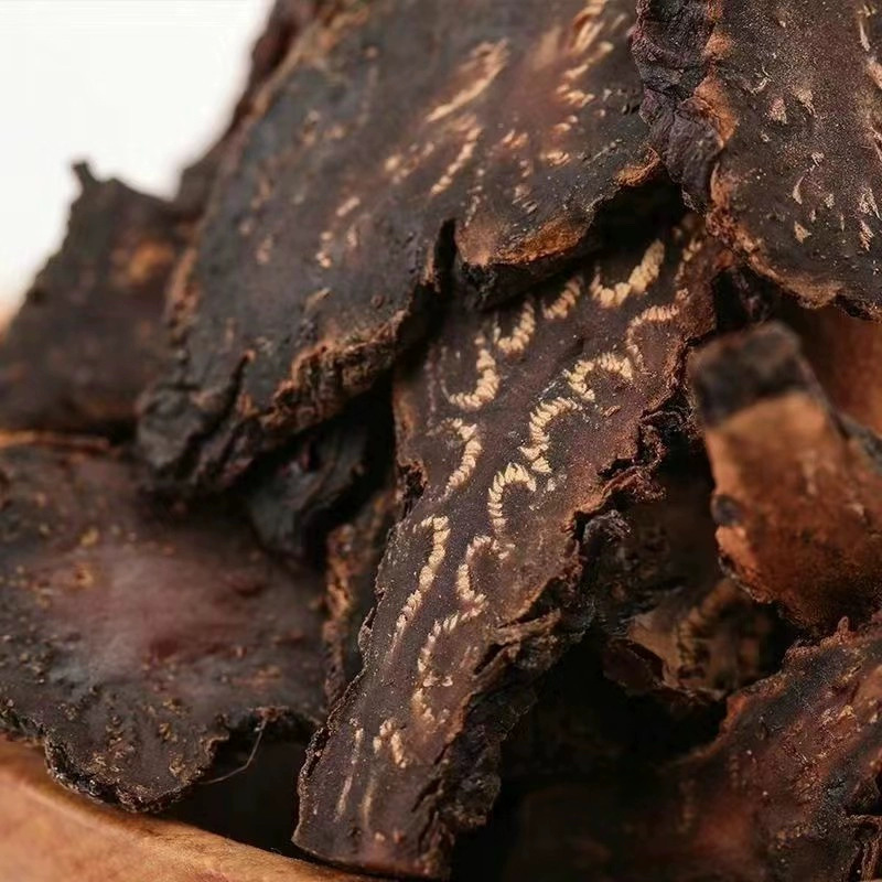 Cistanche Slices Rou Cong Rong Dried Herb 500g for Decoction and Soup - Image 4