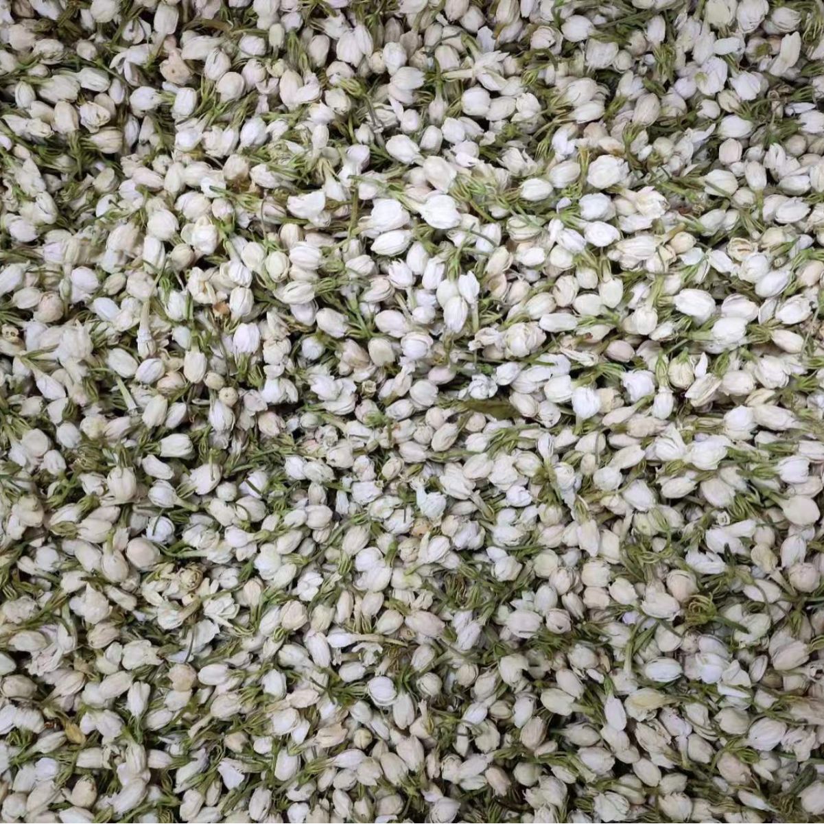 Jasmine Flower (Jasminum sambac) — Dried Food-Herb Blossoms for Tea & Powder - Image 4