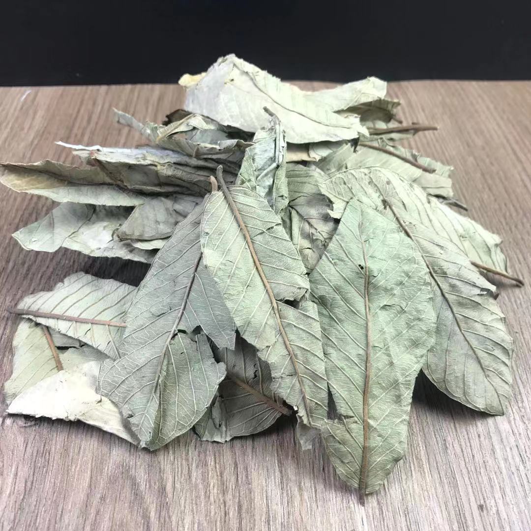 Guava Leaf Tea 番石榴叶 Fan Shi Liu Ye Dried Herbal Tea Leaves 500g for Daily Brew - Image 4
