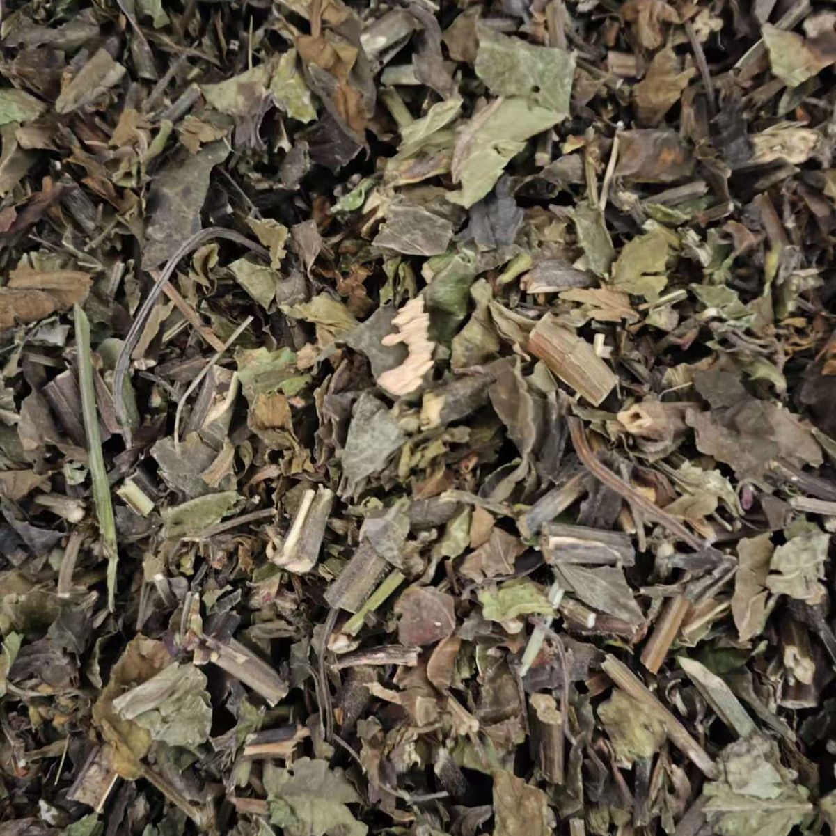 Zhong Jie Feng (Sarcandra glabra) — Dried Herbal Pieces & Custom Powder, 500g - Image 3
