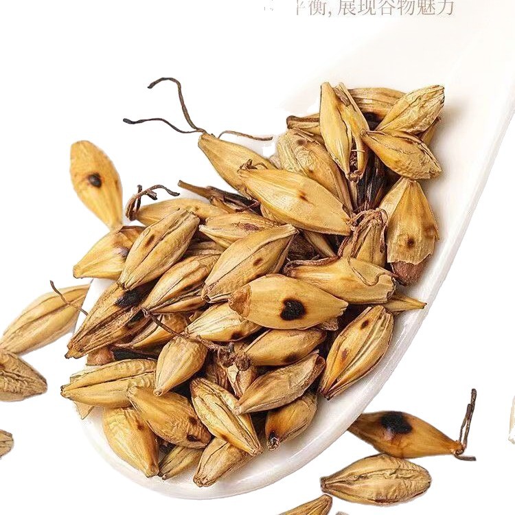 Dried Fried Malt Sprouts Chao Mai Ya 500g Loose Herbal Ingredient for Decoction and Culinary Use - Image 5