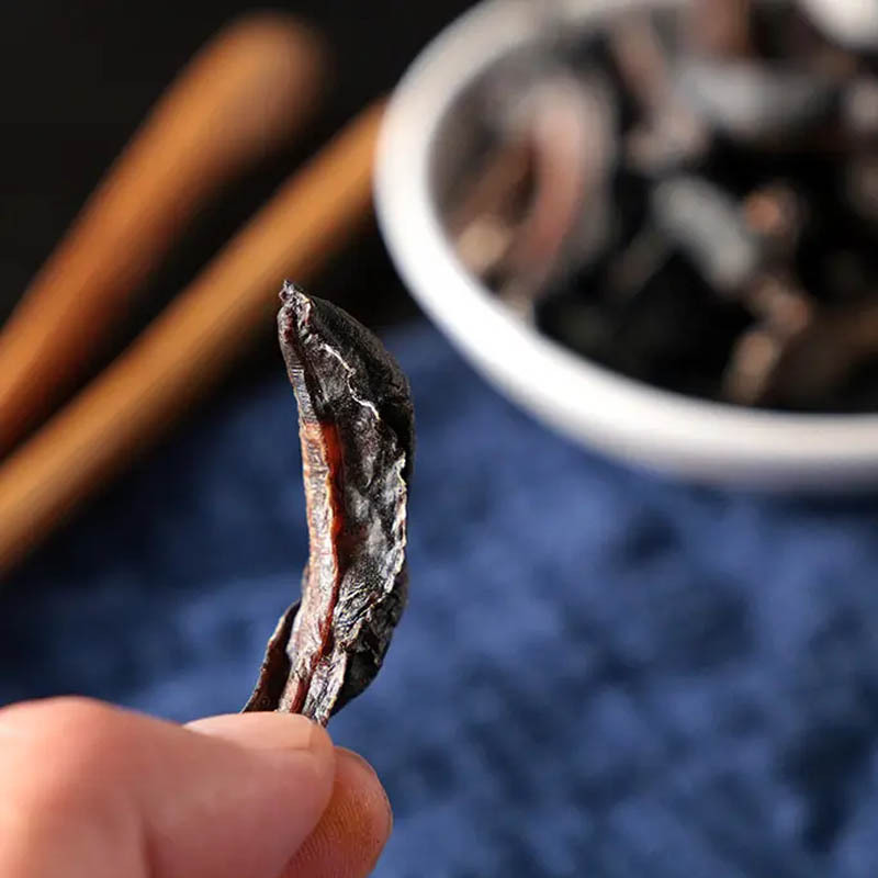 Kuòyú Dried Slug (Limax/Limacus) — Traditional Chinese Herbal Material, Whole Dried Form - Image 2
