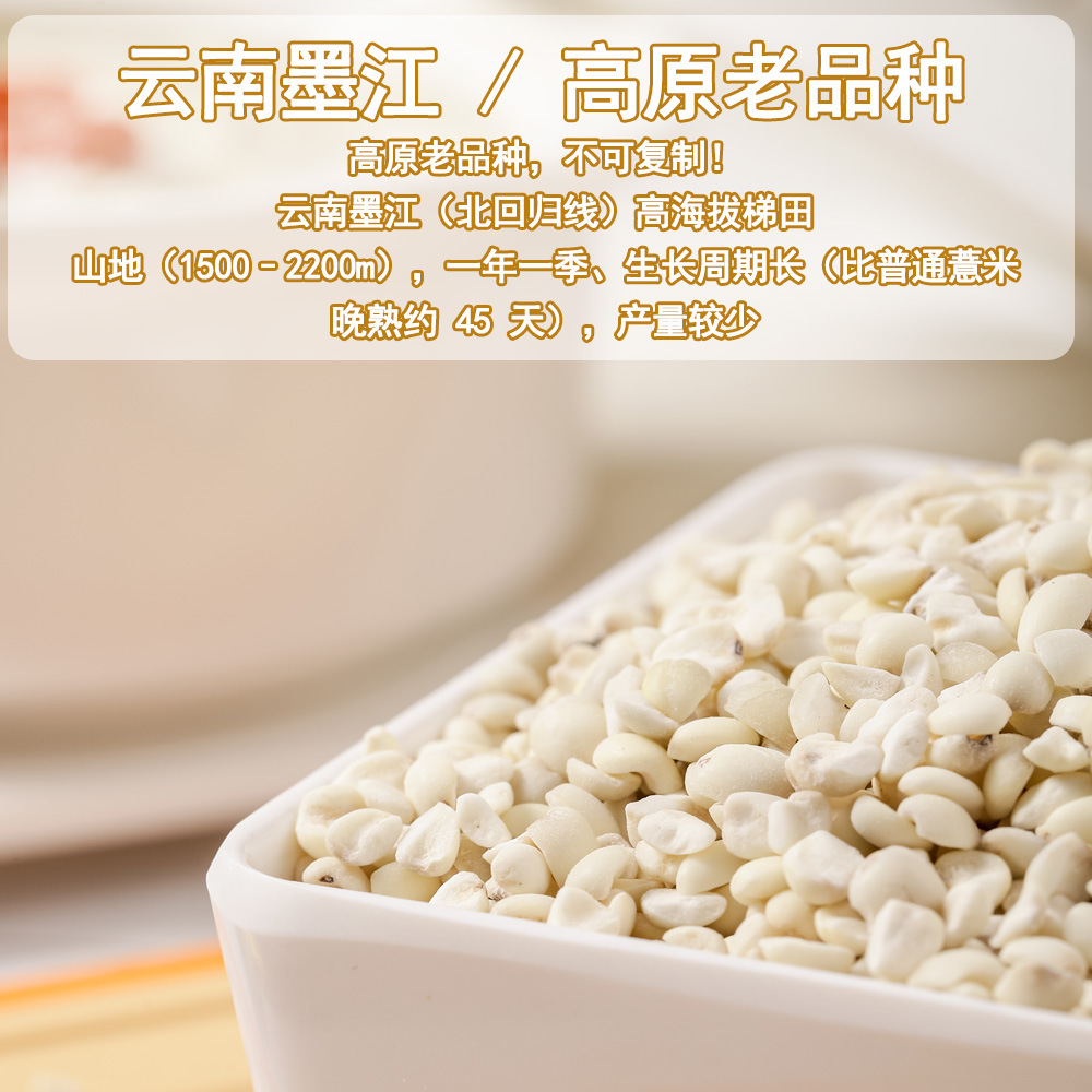 Yunnan Old Variety Coix Seed Broken Job's Tears Mojiang Glutinous Coix Grain 500g - Image 3