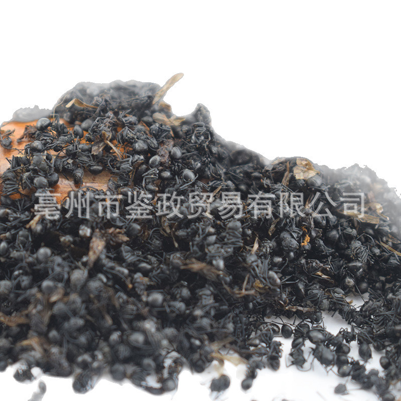 Dried Black Ant Whole Insect 500g Traditional Chinese Herbal Material for Infusion and Decoction Use - Image 5