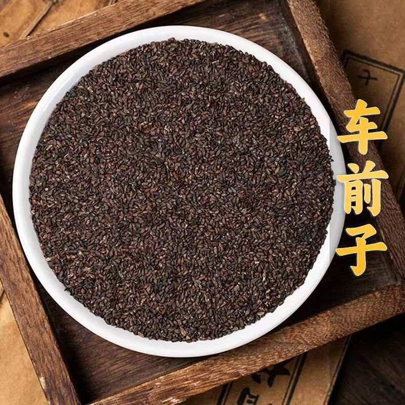 Plantain Seed Che Qian Zi Dried Herb 100g Jar for Decoction and Tea - Image 3