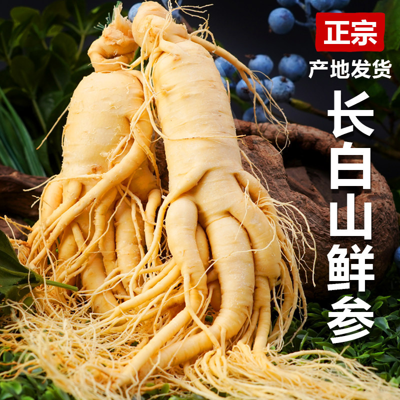 Ginseng Root Ren Shen 长白山人参 Whole Dried Root for Wine Infusion and Cooking 100g - Image 3
