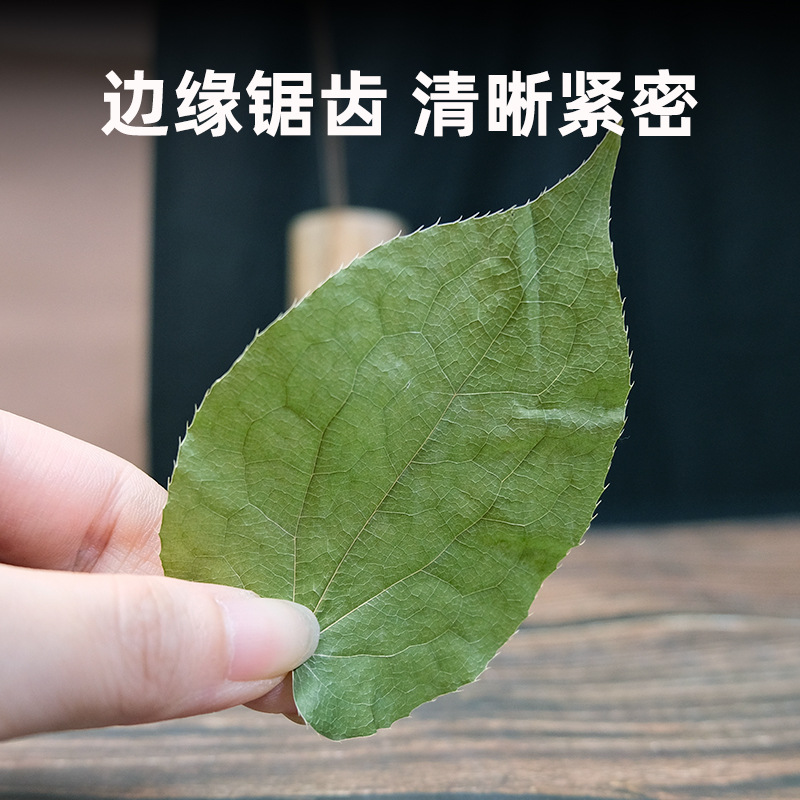 Wild Epimedium Whole Plant 500g Yin Yang Huo Herbal Supplement for Men - Image 3