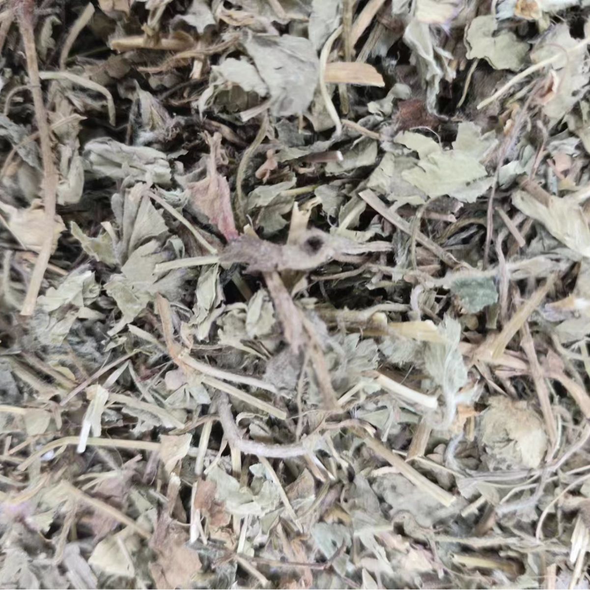 She Mei (Duchesnea indica) — Dried Mock Strawberry Herb, Food-Herb Botanical for Tea & Decoction - Image 2