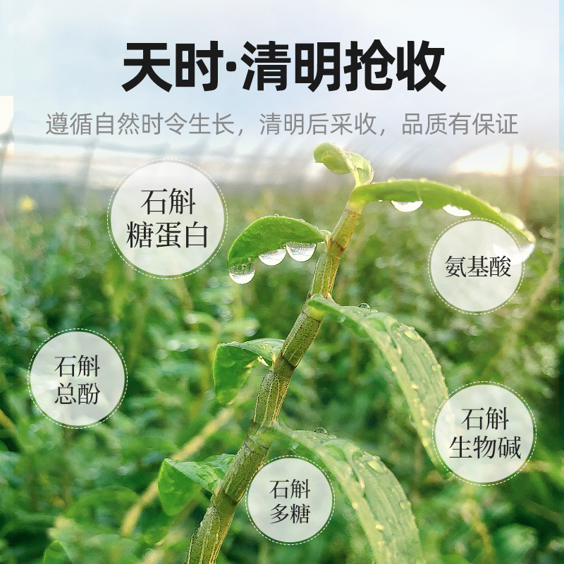 Dried Tiepi Shihu Dendrobium Fengdou 250g Gift Box Five Year Cultivated Zhejiang Origin - Image 3