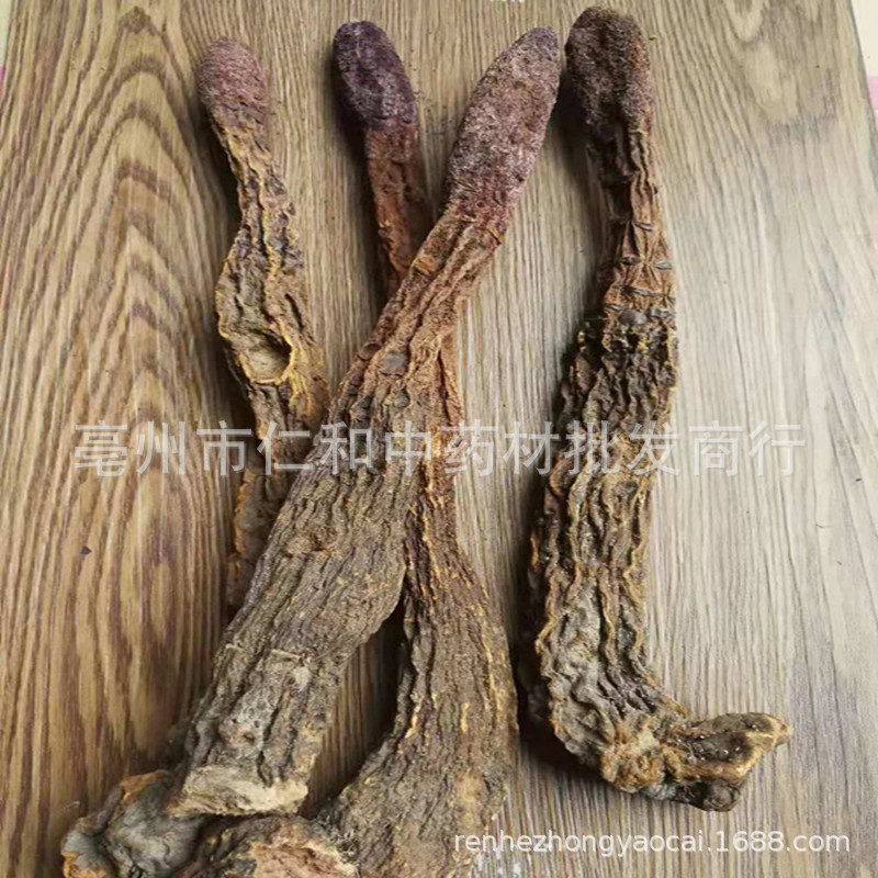 Dried Suo Yang Cynomorium Slices Whole Herb Tonic Herbal Tea and Decoction Ingredient - Image 4