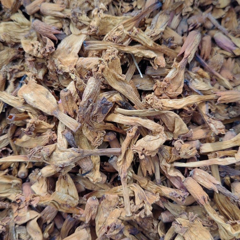 Ling Xiao Hua (Campsis grandiflora) — Dried Chinese Trumpet Creeper Flower, Food Herb - Image 2