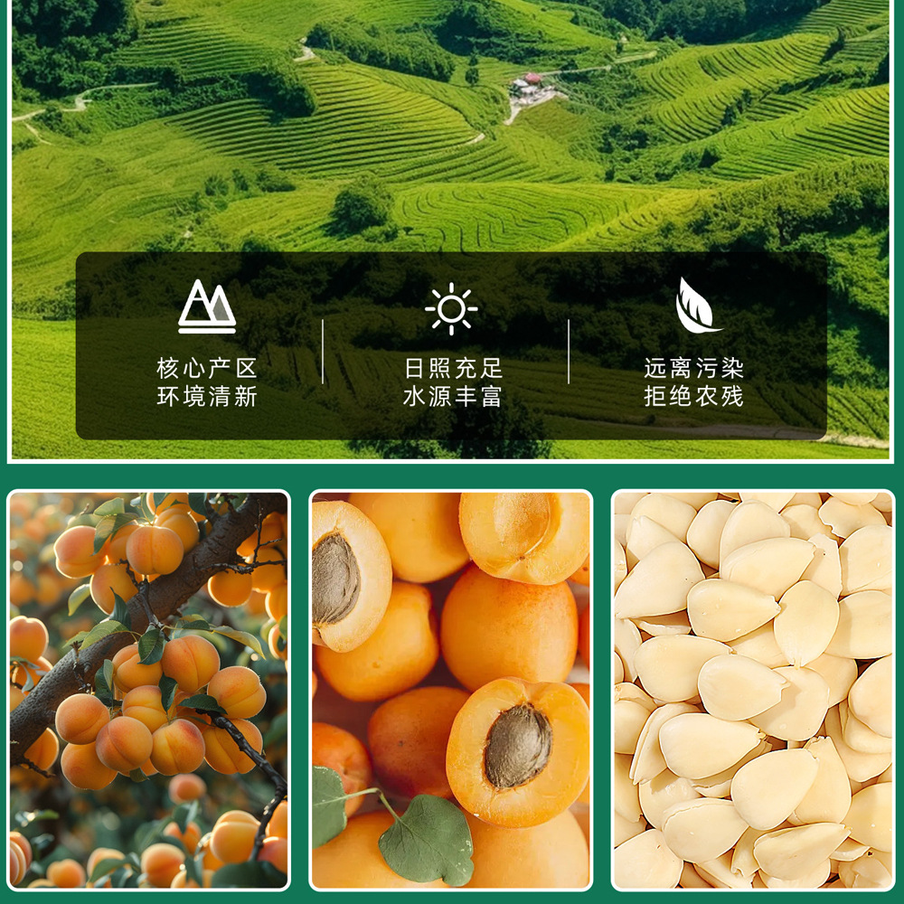Sweet Almond Kernels Tian Xing Ren Peeled Dried Seeds for Baking and Herbal Cooking 100g - Image 3