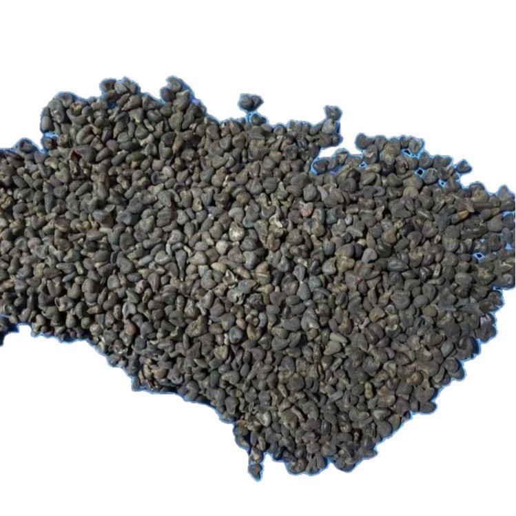 Dried Abutilon Seed Ma Guo Zi Qing Ma Zi Traditional Herbal Use 500g - Image 5