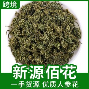 Ginseng Flower (Panax ginseng) — Dried Changbai Mountain Ginseng Flower for Tea & Infusion