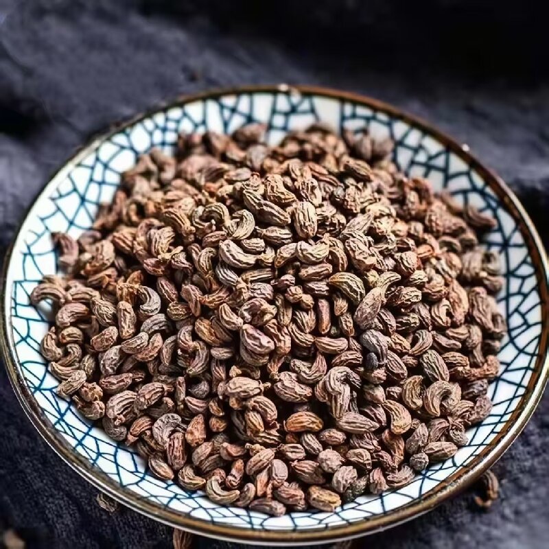 Nü Zhēn Zǐ (Ligustrum lucidum) — Dried Glossy Privet Fruit for Tea, Wine & Pillow - Image 4