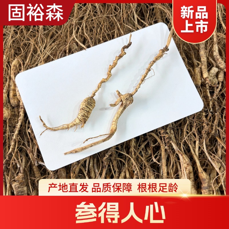 Dried Forest Ginseng Seedling Root Slices Sun Dried Jilin Grown Culinary Herb 500g - Image 3