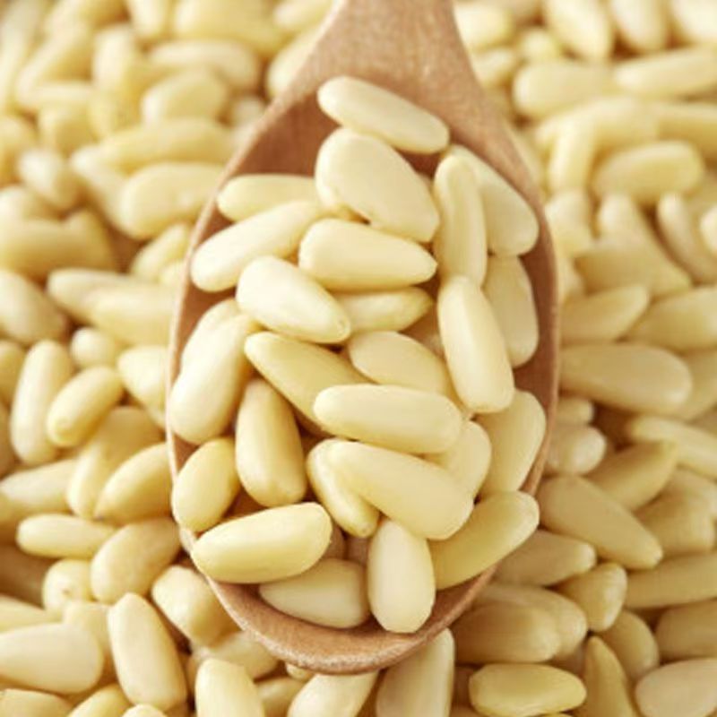 Pine Nut Kernels Song Zi Ren Shelled Raw or Roasted Nuts 500g Northeast China - Image 2