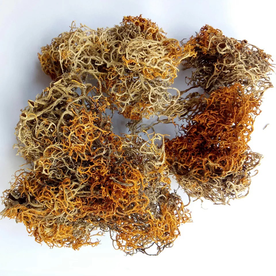 Red Snow Tea 500g Tibetan Wild Herbal Tea Hong Xue Cha Loose Flower Tea for Daily Brewing - Image 3