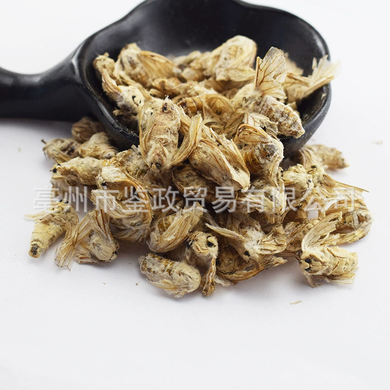 Dried Female Silkworm Moth Can Can E 500g Whole Insect Traditional Tonic Herb for Wine Infusion - Image 3