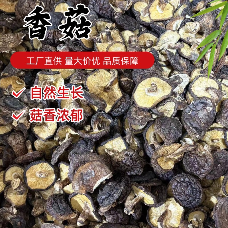 Dried Shiitake Mushrooms Xiang Gu 香菇 Whole Caps Factory Direct Quality Rich Aroma 500g - Image 2