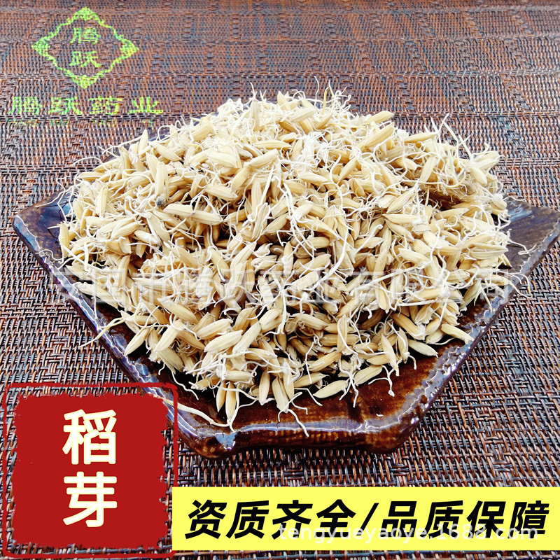 Dried Rice Sprout Dao Ya 谷芽 Raw Herb for Decoctions and Herbal Teas 1kg Bag - Image 2