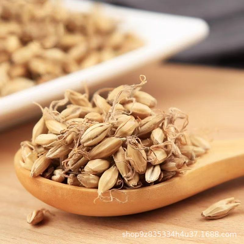 Dried Fried Malt Sprouts Chao Mai Ya 500g Loose Herbal Ingredient for Decoction and Culinary Use - Image 3