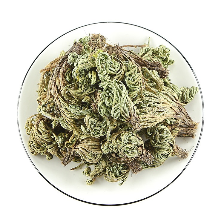 Dried Selaginella Juan Bai 250g Resurrection Herb Whole Plant Traditional Chinese Herbal Tea Material - Image 5