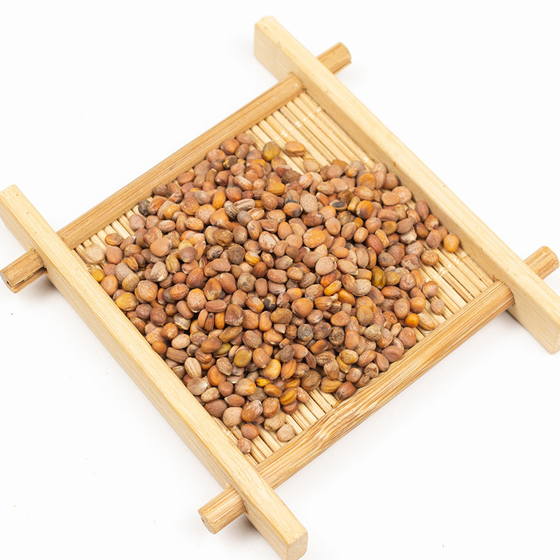 Dried Raphanus Seed Lai Fu Zi 500g Whole Radish Seeds for Herbal Decoction and Tea - Image 3