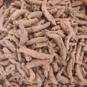 Xue San Qi (Blood Panax) — Dried Herbal Root, 250g Powder-Grade
