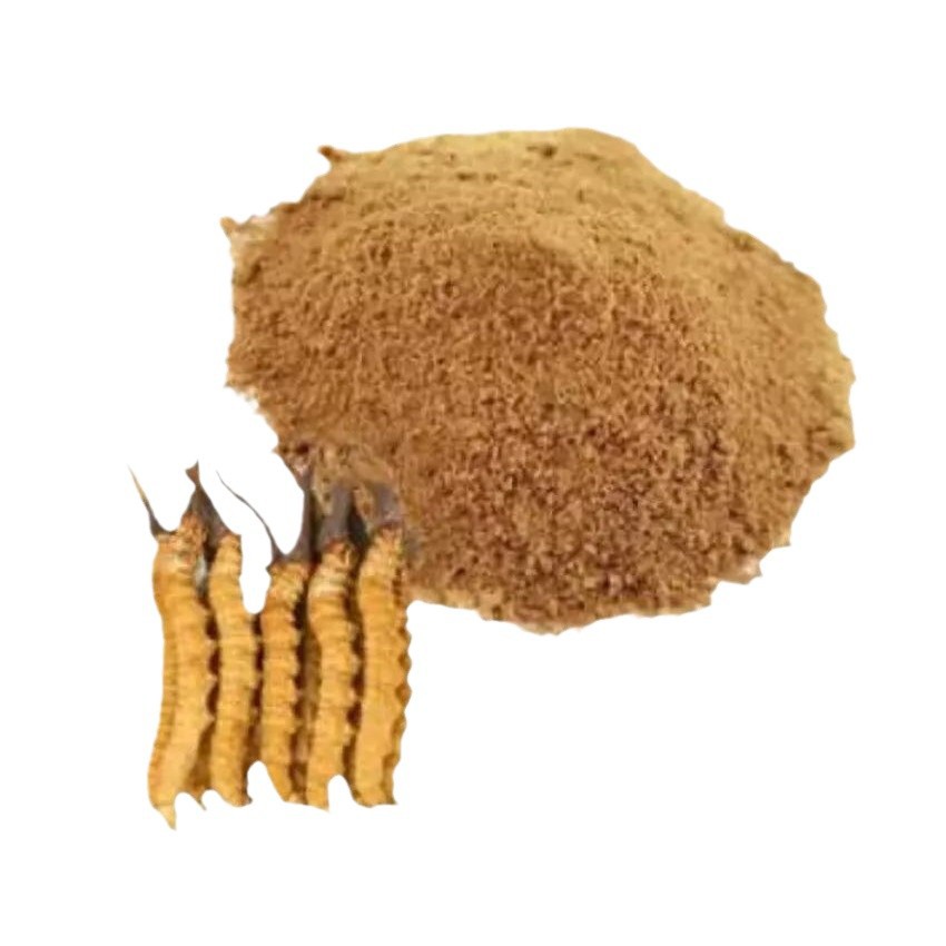 Cordyceps Powder Dong Chong Xia Cao 10g Dried Caterpillar Fungus Ground Herb for Daily Herbal Use - Image 5