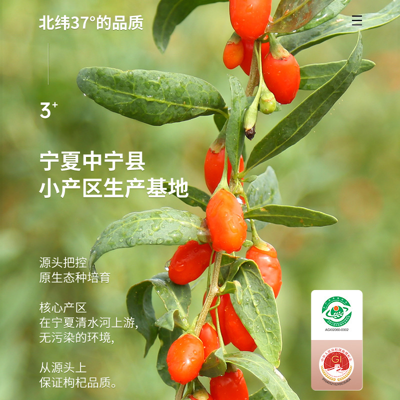 Ning'anbao Zhongning Goji Berries 250g Jar Premium Ningxia Dried Wolfberry Ready to Eat - Image 2