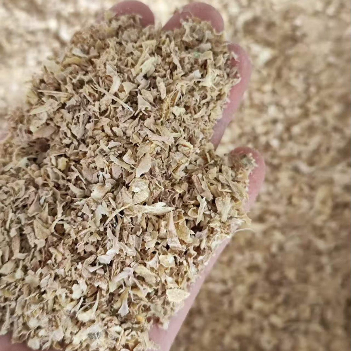 Yunnan Luoping Small Yellow Ginger Powder Jiang Fen External Foot Soak Ginger Powder 500g - Image 2