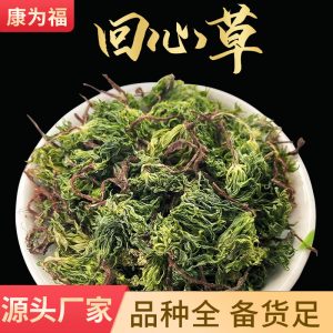 Hui Xin Cao (Rhodobryum giganteum) — Dried TCM Herb for Calming the Heart & Spirit