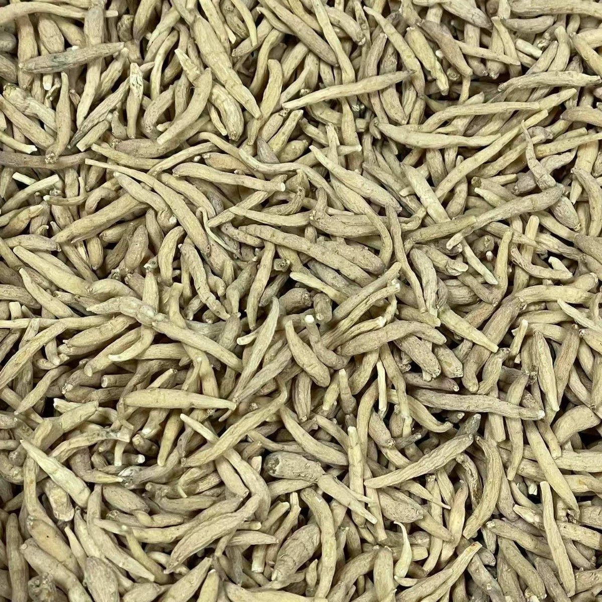 Dried Tai Zi Shen Root Slices Bulk 250g孩儿参 Large Grade Fujian Origin - Image 4