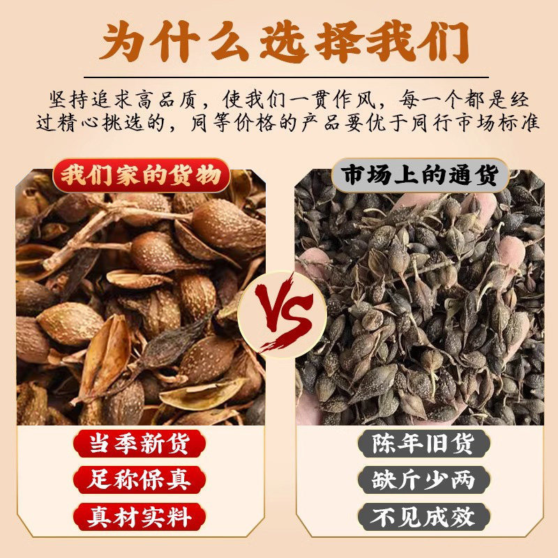 Dried Forsythia Fruit Lian Qiao 500g Wild New Harvest Stem Removed for Tea and Decoction - Image 4
