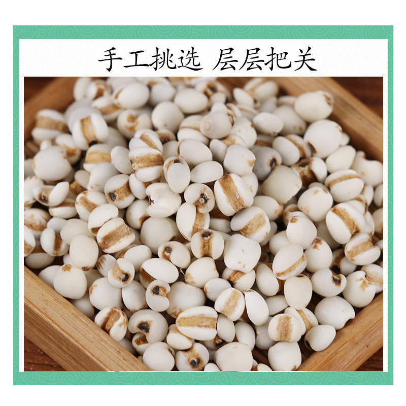 Premium Coix Seed Yi Yi Ren 500g Dried Job's Tears for Food and Herbal Use - Image 3