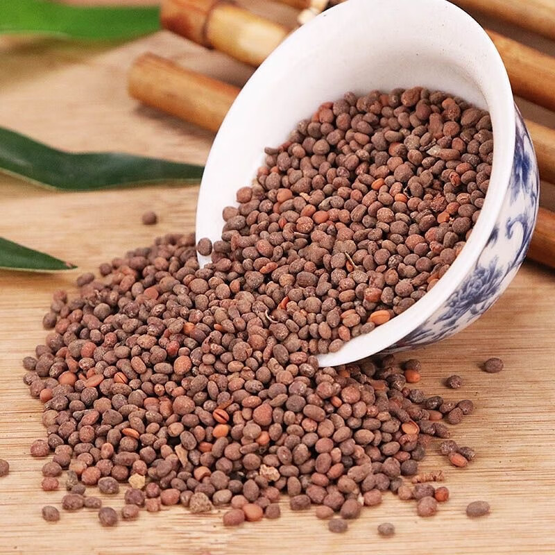 Garden Balsam Seed Ji Xing Zi 急性子 500g Dried Impatiens Balsamina Seeds Traditional Chinese Herb - Image 3