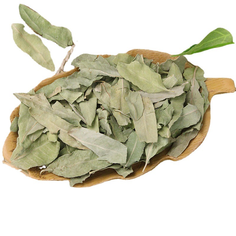 Luobuma Leaf (Apocynum venetum) — Dried Herbal Tea for Daily Wellness - Image 3