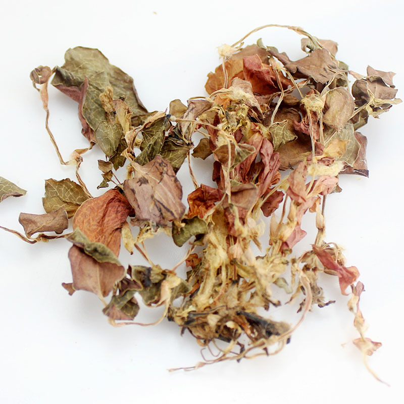 Jin Xian Lian (Anoectochilus roxburghii) — Whole-Stem Red Cloud Orchid Herb, Food-Grade Dried Botanical - Image 5