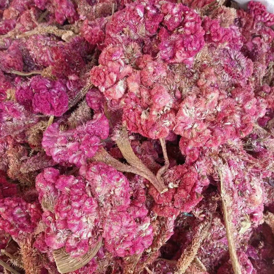 Ji Guan Hua (Celosia argentea) — Dried White & Red Cockscomb Flower, 500g - Image 3