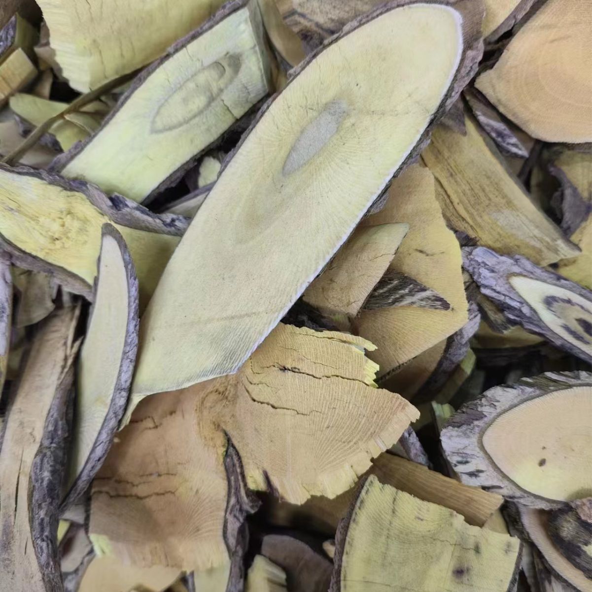 Gong Lao Mu (Mahonia bealei) — Dried Chinese Mahonia Stem for Herbal Decoction - Image 2