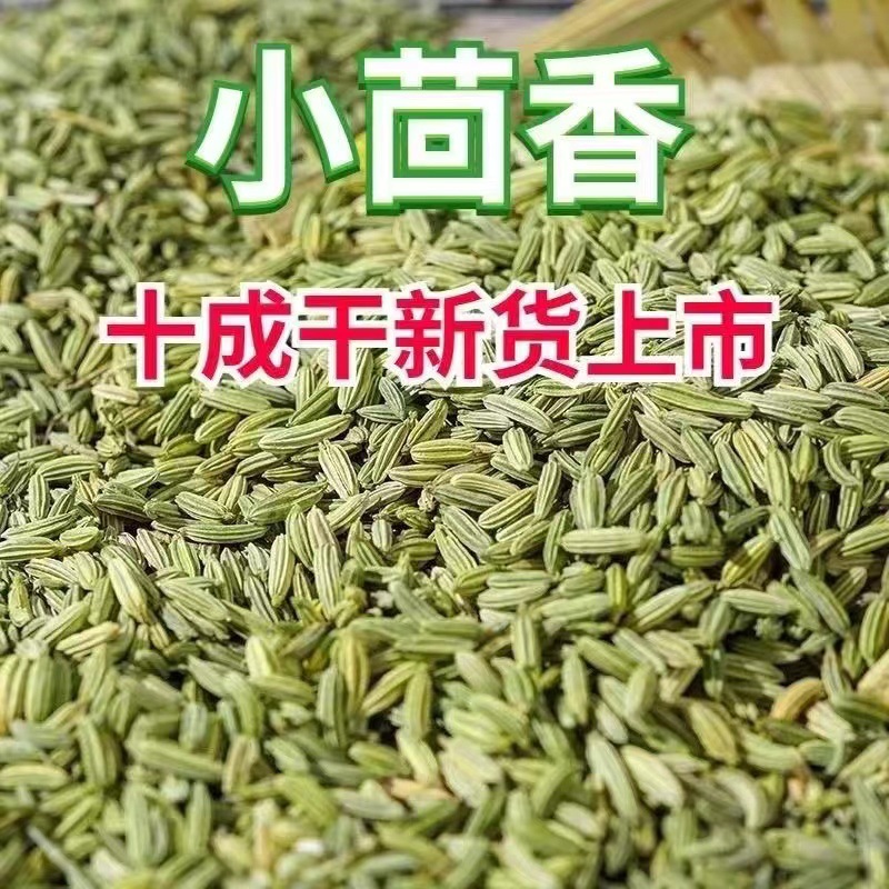 Fennel Seeds (Foeniculum vulgare) — Gansu Dried Food-Herb Spice for Cooking & Tea - Image 3