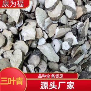 San Ye Qing (Tetrastigma hemsleyanum) — Dried Chinese Herb, Powder Service Available