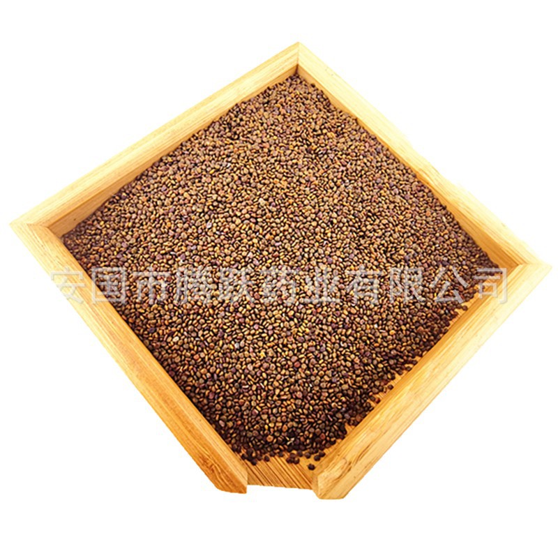 Sha Yuan Zi Dried Flatstem Milkvetch Seeds 500g 1000g Traditional Chinese Herb for Decoction and Tea - Image 5
