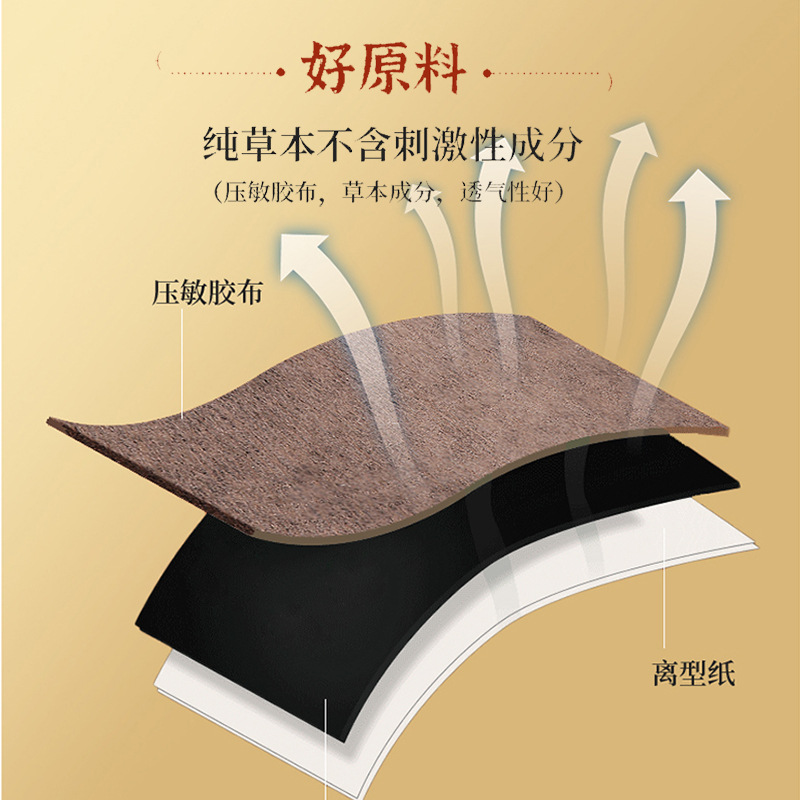 Knee Joint Synovium Care Patch with Far Infrared Warming for Leg Discomfort Wellness Patch Box - Image 4